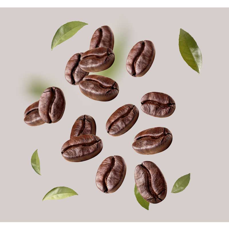 kaffee Kaffeebohnen und grüne Blätter auf neutralem Hintergrund, symbolisieren die natürlichen Inhaltsstoffe des Cleansing & Refreshing Foam von RAU Cosmetics.