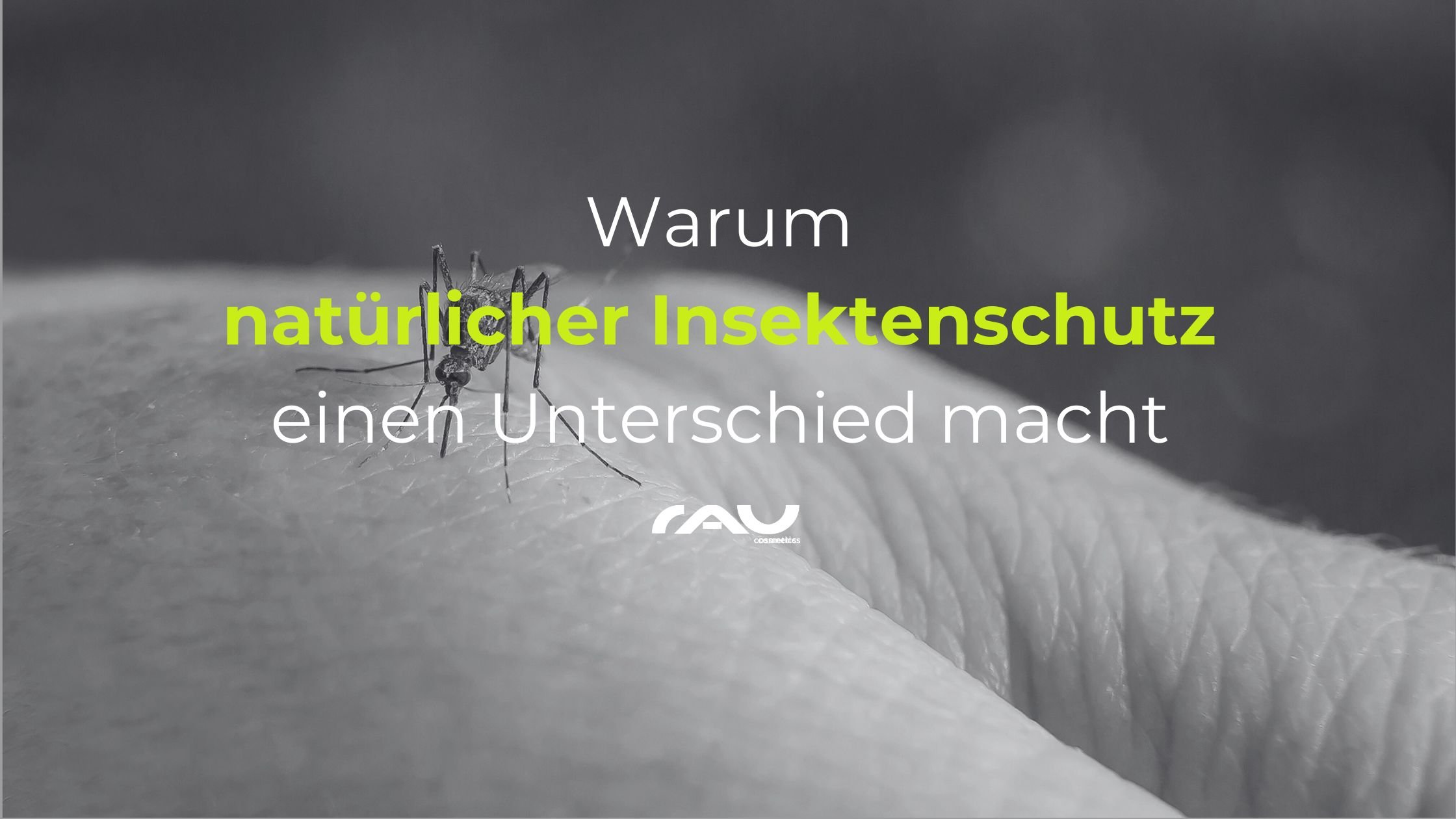 Tier, Insekt, Wirbellose, Mücke