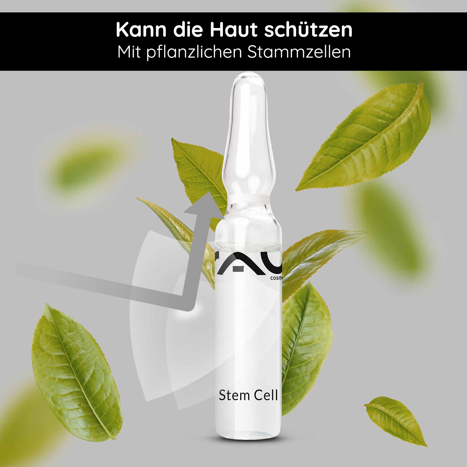 Stem Cell Ampullen 10x2 ml Anti Aging für reife Haut Ampulle von RAU Cosmetics mit der Aufschrift "Stem Cell", umgeben von grünen Blättern, betont die pflanzlichen Stammzellen für Hautschutz und -pflege.