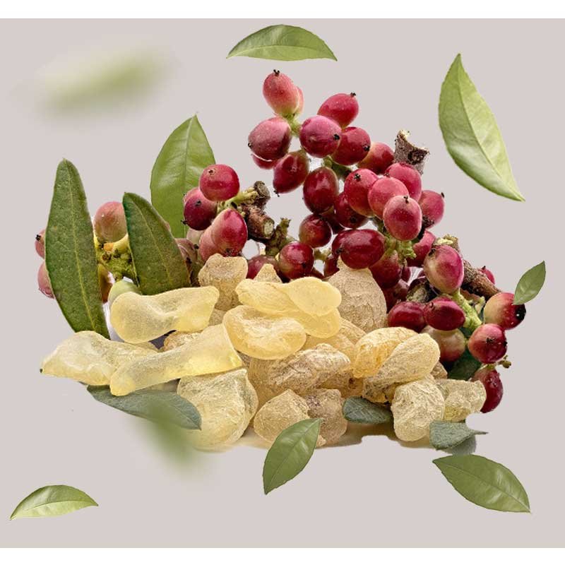 Wilde Pistazienfrüchte und Harze mit grünen Blättern, dargestellt in einer ansprechenden Anordnung, für die Mattifying Ampullen von RAU Cosmetics.