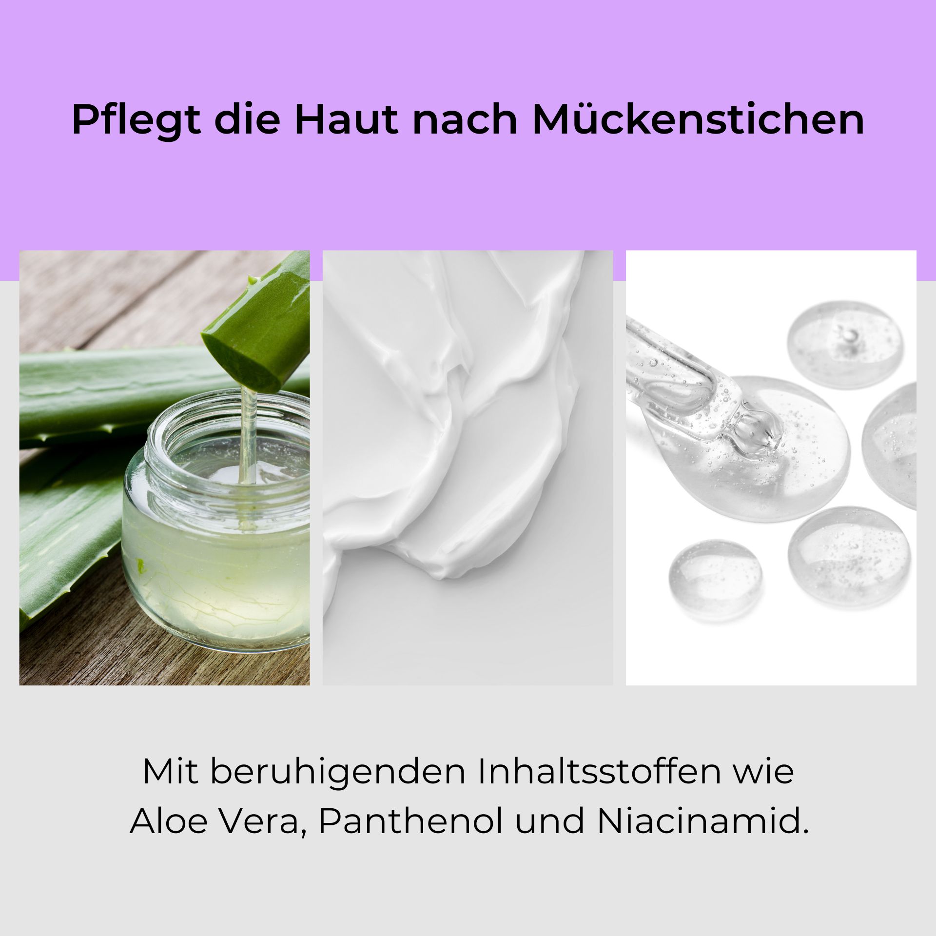After Bite Mosquito Roll-On 10 ml - Naturally effective mosquito bite care Pflege für die Haut nach Mückenstichen mit Aloe Vera, Panthenol und Niacinamid, dargestellt durch frische Aloe Vera Blätter, eine Creme und transparente Gelkapseln.