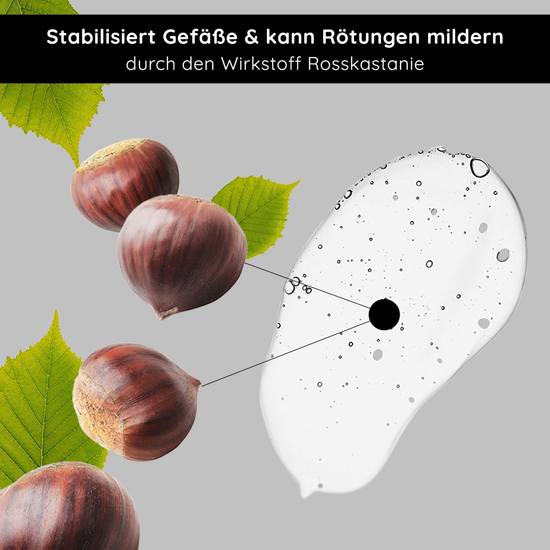 Anti-Redness Couperose Serum mit Rosskastanienextrakt, stabilisiert die Gefäße und reduziert Rötungen, mit sichtbaren Kastanien und grünen Blättern vor neutralem Hintergrund.