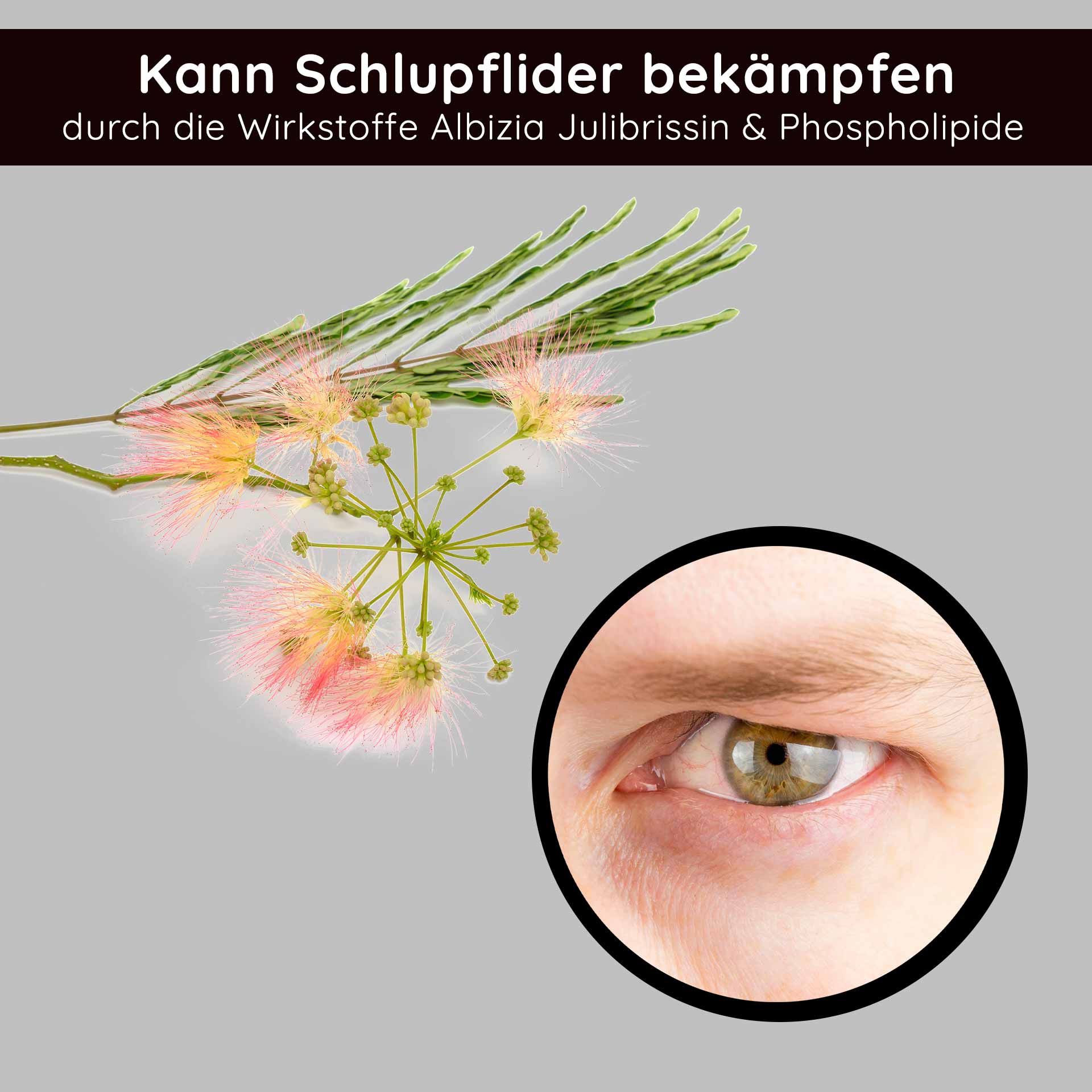 Stem Cell Eye Cream 15 ml Anti Aging Augencreme RAU Cosmetics Stem Cell Eye Cream – luxuriöse Augencreme mit pflanzlichen Stammzellen aus Traube, Alpenrose und Schweizer Apfel. Abbildung des Produkts in einem eleganten Tiegel mit silbernem Deckel.
