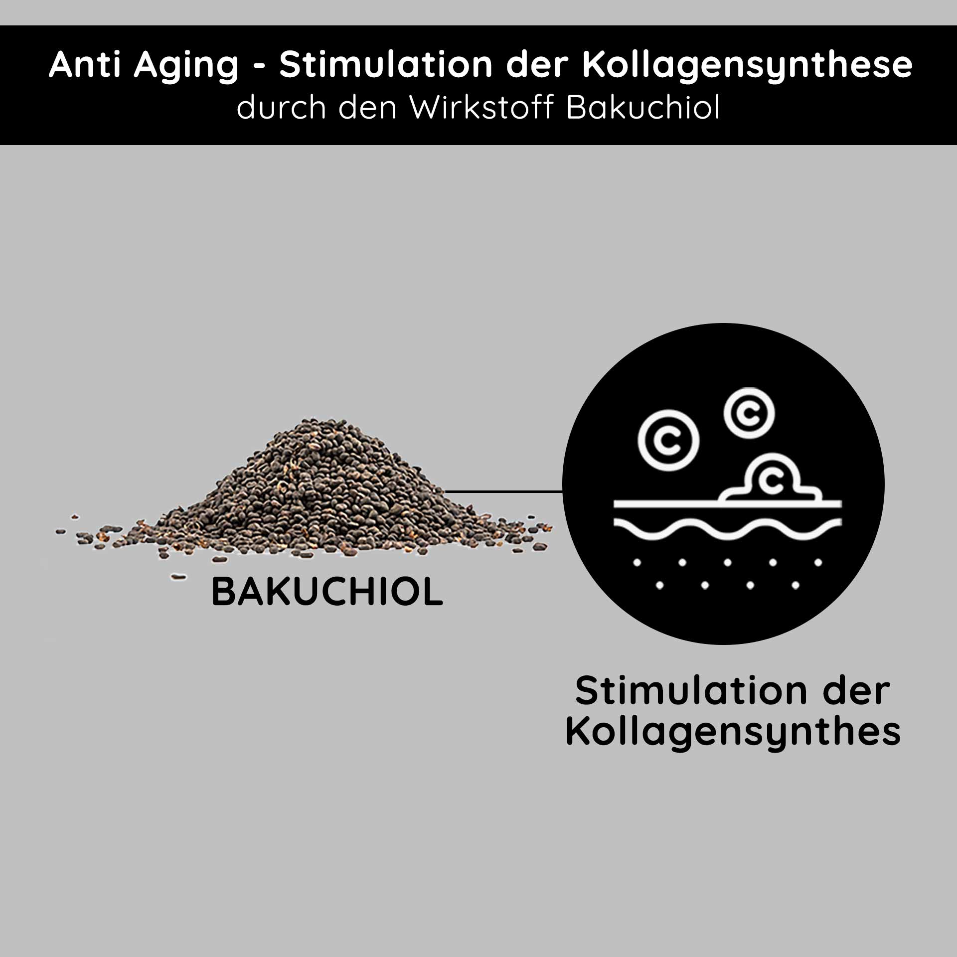 Bakuchiol Eye Wonder 15 ml reichhaltige Augencreme Bakuchiol Eye Wonder 15 ml reichhaltige Augencreme