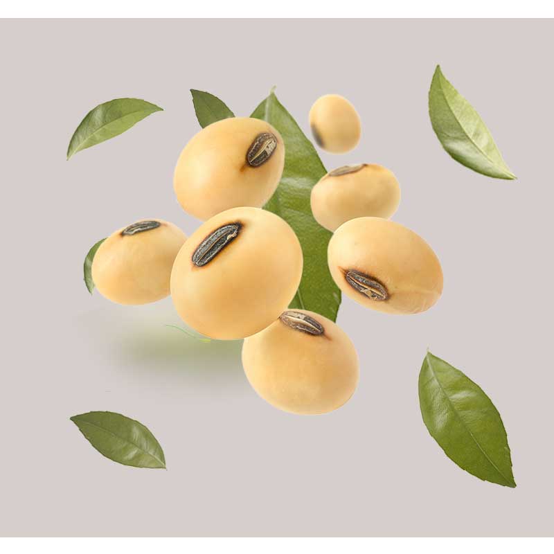 soja-01 Sojabohnen in einer Schale auf einem Holztisch – Nahaufnahme der Bohnen mit sichtbaren Texturen und natürlichen Farben.