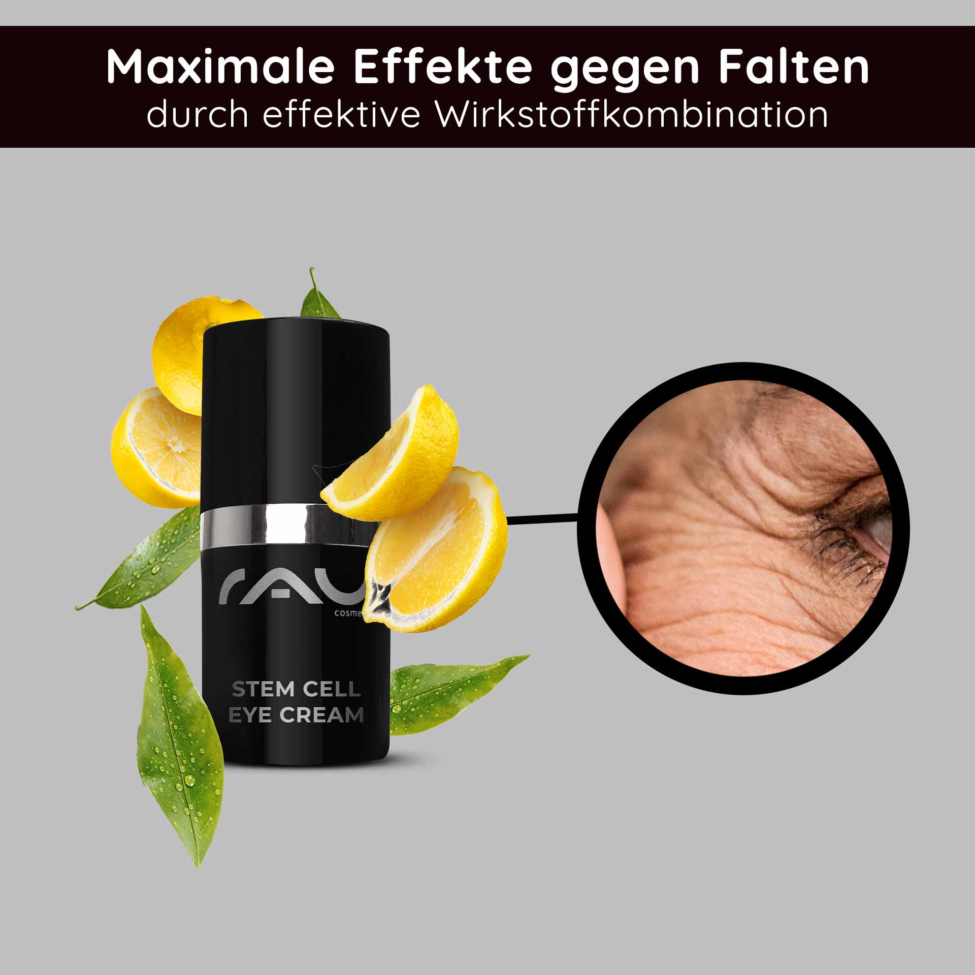 Stem Cell Eye Cream 15 ml Anti Aging Augencreme RAU Cosmetics Stem Cell Eye Cream – luxuriöse Augencreme mit pflanzlichen Stammzellen aus Traube, Alpenrose und Schweizer Apfel. Abbildung des Produkts in einem eleganten Tiegel mit silbernem Deckel.