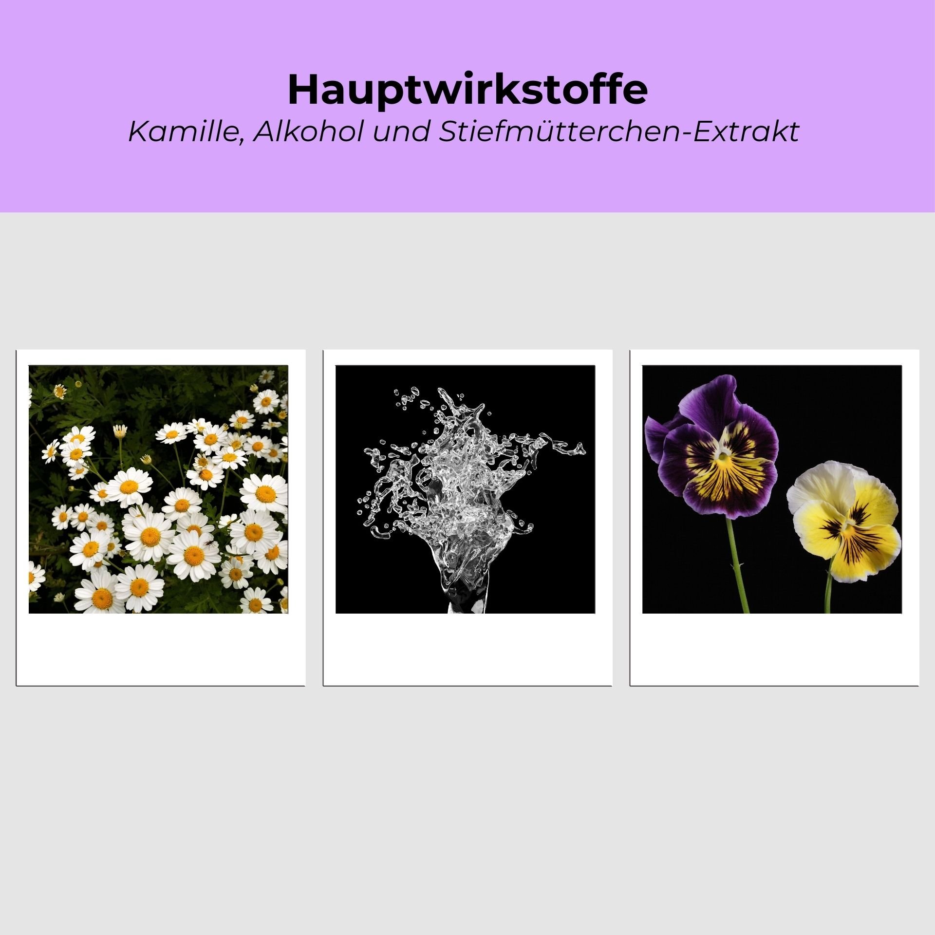 Botanische Wirkstoffe: Fokus auf die beruhigende Wirkung von Blütenextrakten im Purifying Tonic.