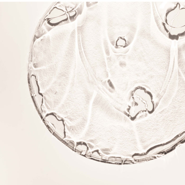 Salicylsaeure_RAU_Cosmetics Salicylsäure-Infusion in transparenter Gel-Textur, symbolisiert die Wirkung gegen Unreinheiten und Akne, passend zur RAU Cosmetics Produktlinie.