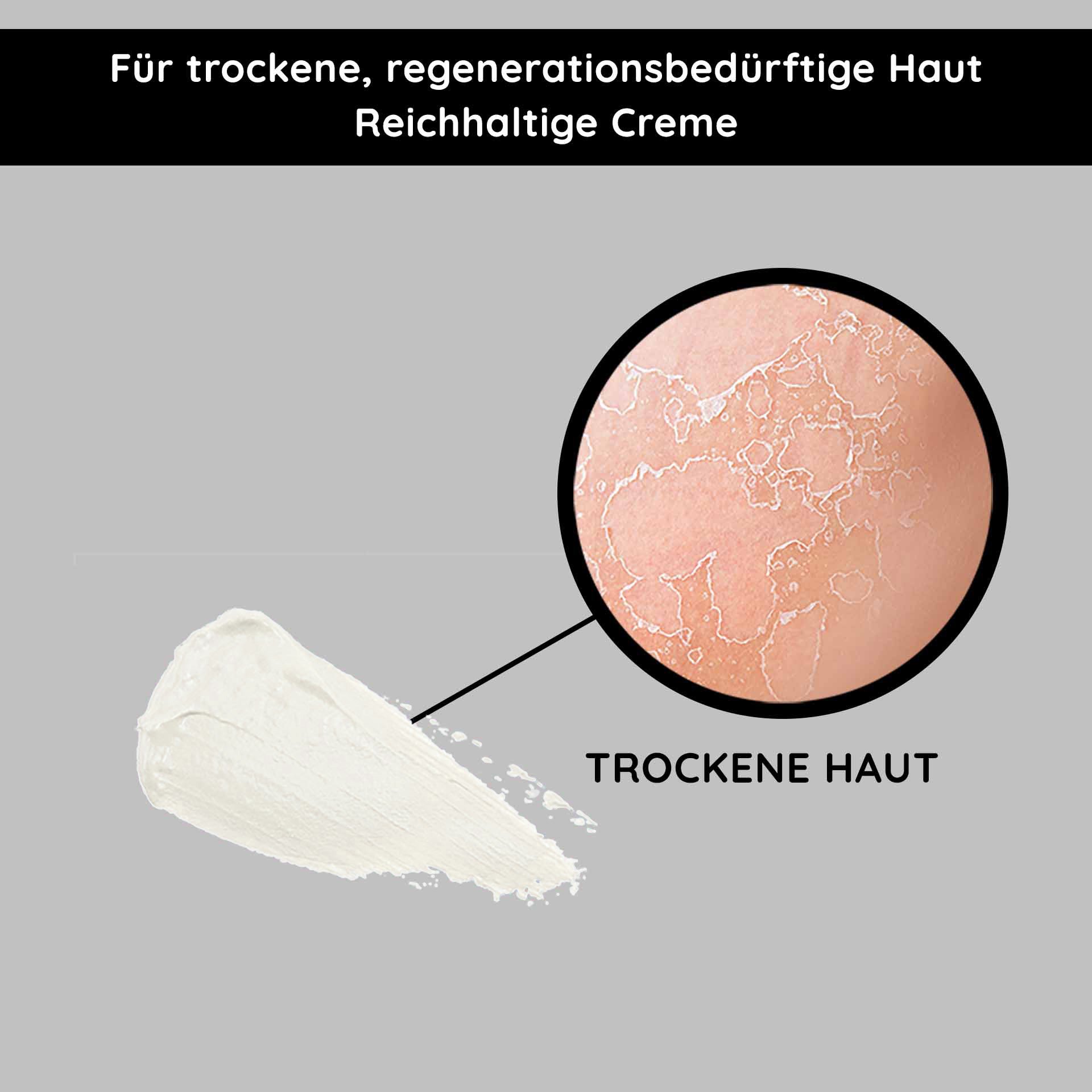 Regeneration mit Ginkgo: Illustration der beruhigenden Wirkung auf trockene Haut für ein erholtes Erwachen.