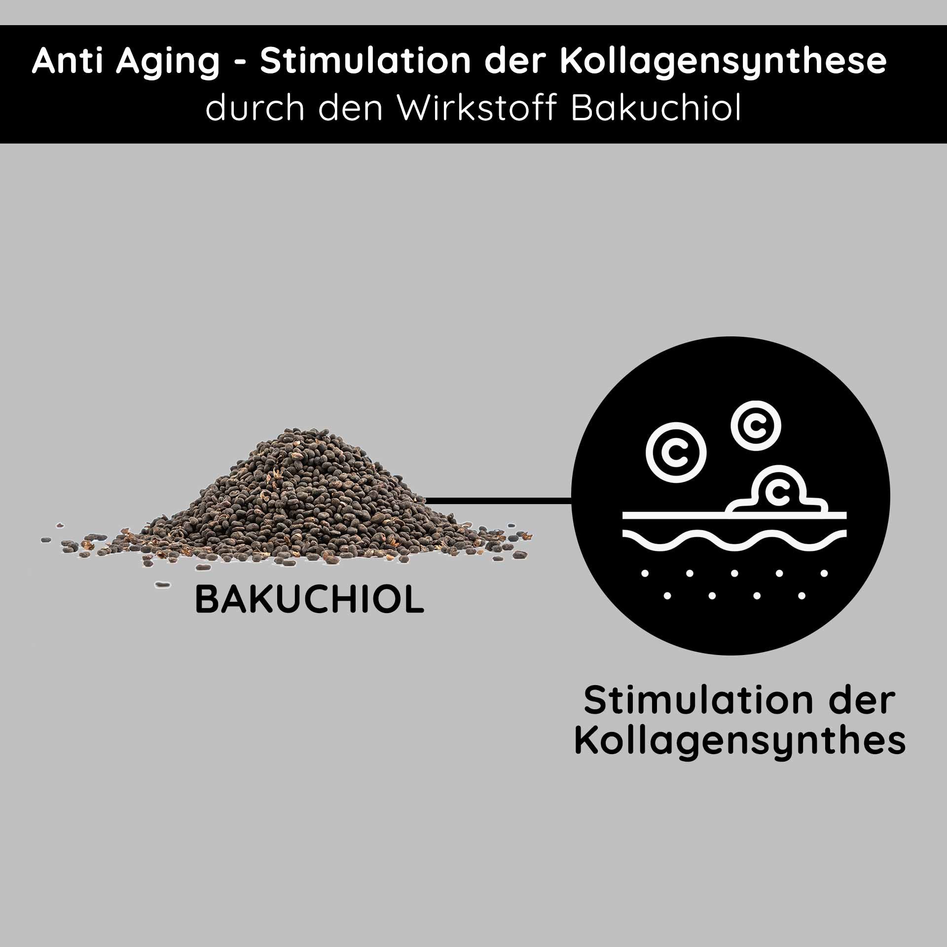 Stimulation der Kollagensynthese: Detailansicht des Bakuchiol-Pulvers, das für straffere Haut und Anti-Aging steht.